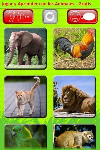 Jugar y Aprender: Animal...截图1