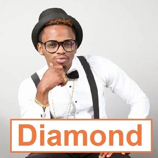 Diamond Platnumz Fans Ta...截图2