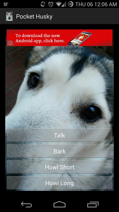 Pocket Husky截图3