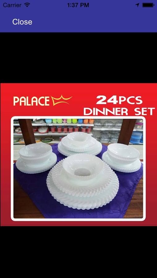 PALACE STORES截图1