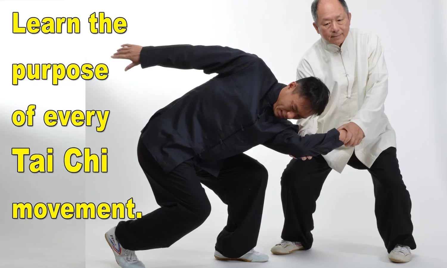 Tai Chi Martial Applicat...截图3