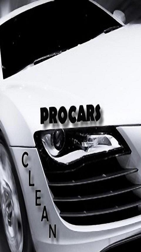 Procars clean截图1