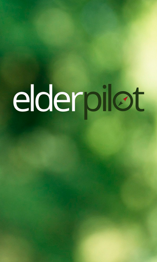 Elder Pilot: Retirement截图1