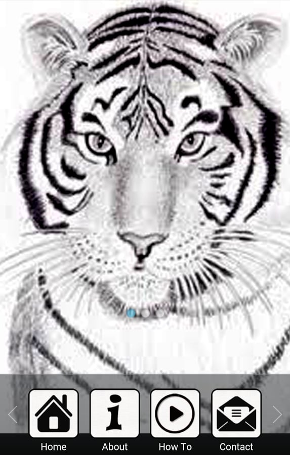 Draw a Tiger截图1