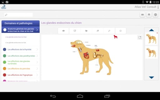Vet'Consult Endocrinologie截图3