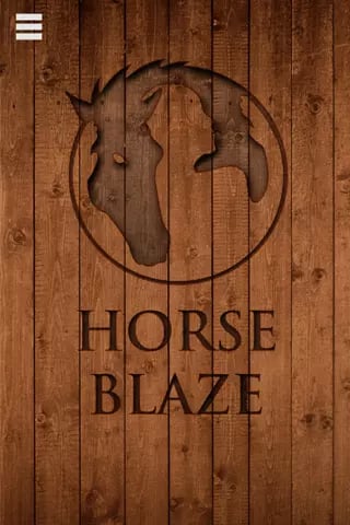 Horse Blaze截图6