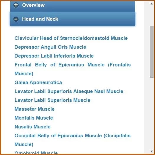 Muscular System(Anatomy)截图1