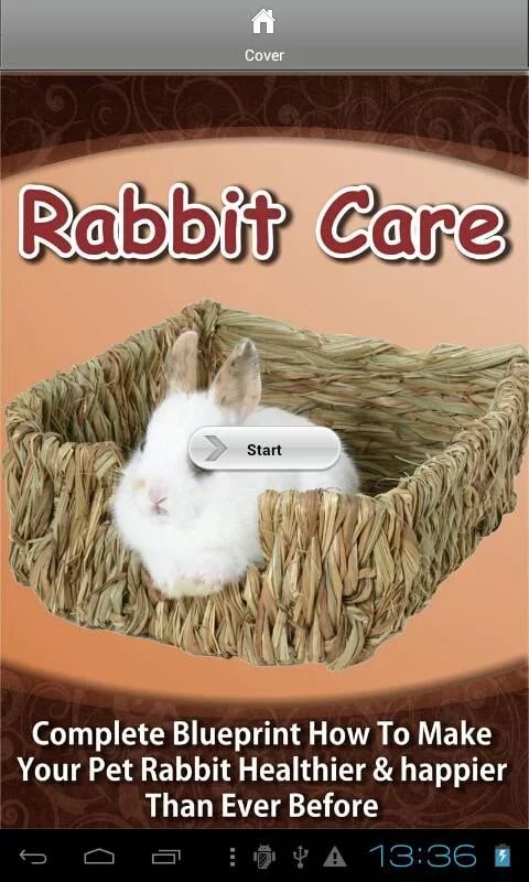 Rabbit Care截图7