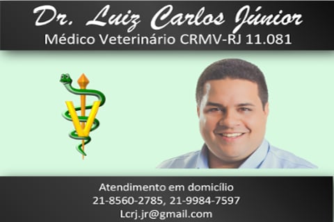 Dr. Luiz Carlos Jr b. ca...截图1