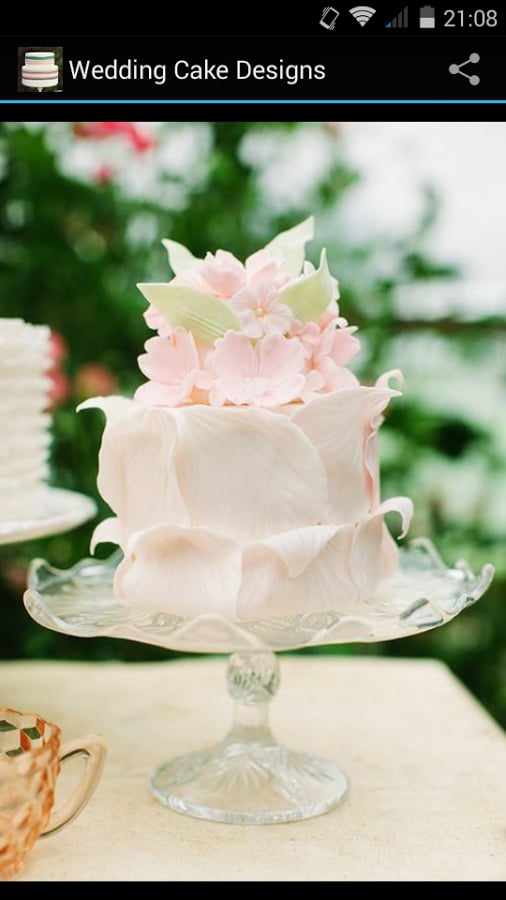 Wedding Cake Designs截图2