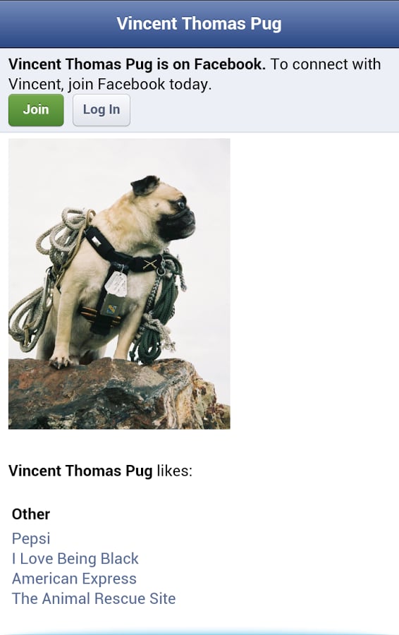 Vinny the Pug - The Hero截图8