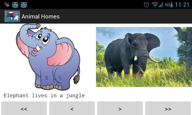 Animal Homes - Preschool截图1