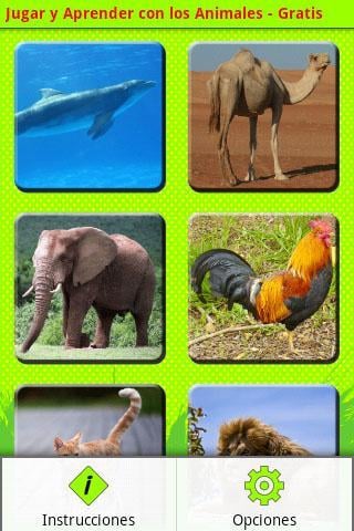 Jugar y Aprender: Animal...截图4