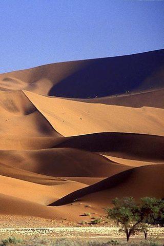 Desert Wallpapers HD截图3