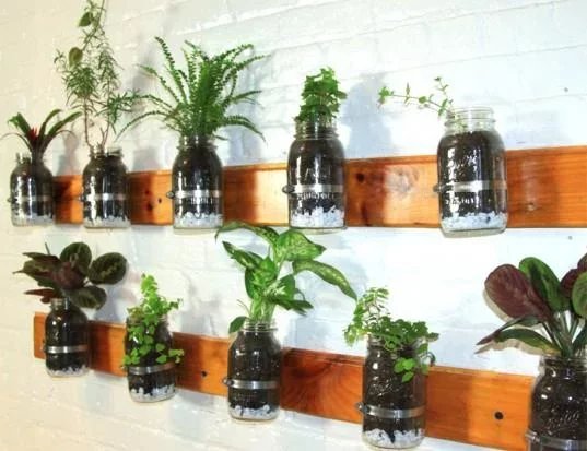 DIY Garden Ideas Creativ...截图1