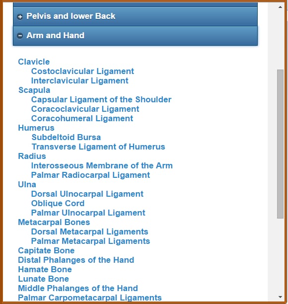 Skeletal System (Anatomy...截图1