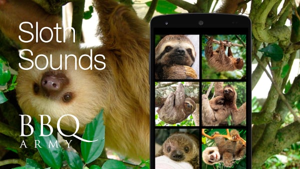 Sloth Sounds截图2