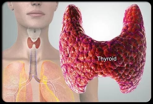 Thyroid Symptoms Treatme...截图4