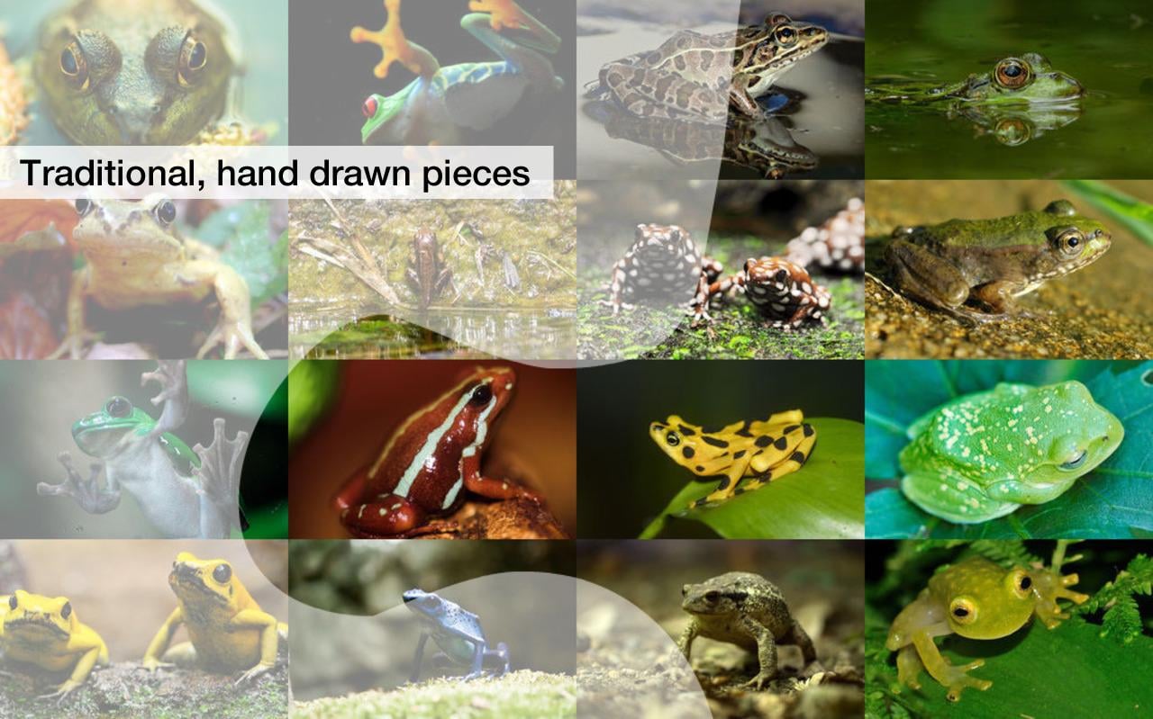 Frog Jigsaw Puzzles Demo截图4