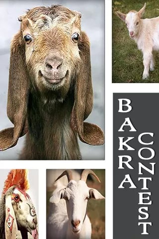 Bakra Contest截图5