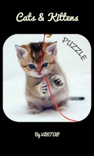 Cats - Puzzle Game截图5