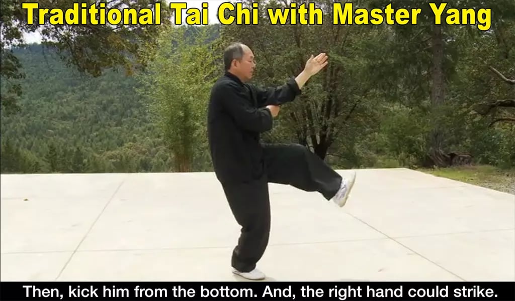 Yang Tai Chi for Beginne...截图8