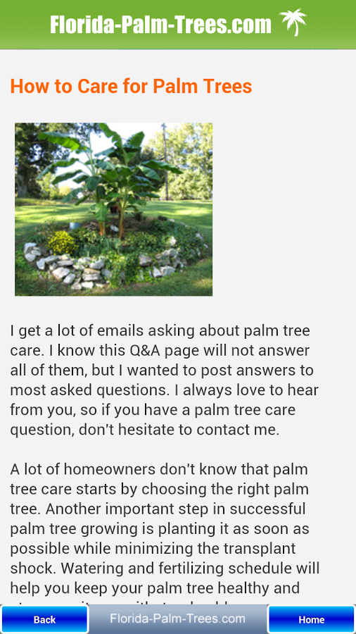 Florida Palm Trees截图4