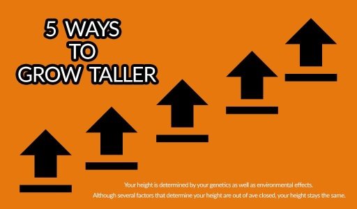 Tips to Grow Taller截图3