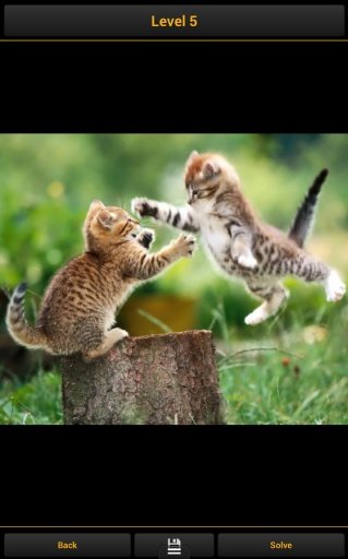 Cats - Puzzle Game截图2