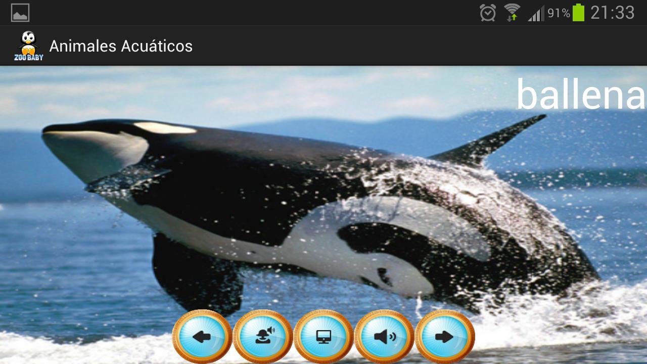 Zoo Baby - English Edition截图3