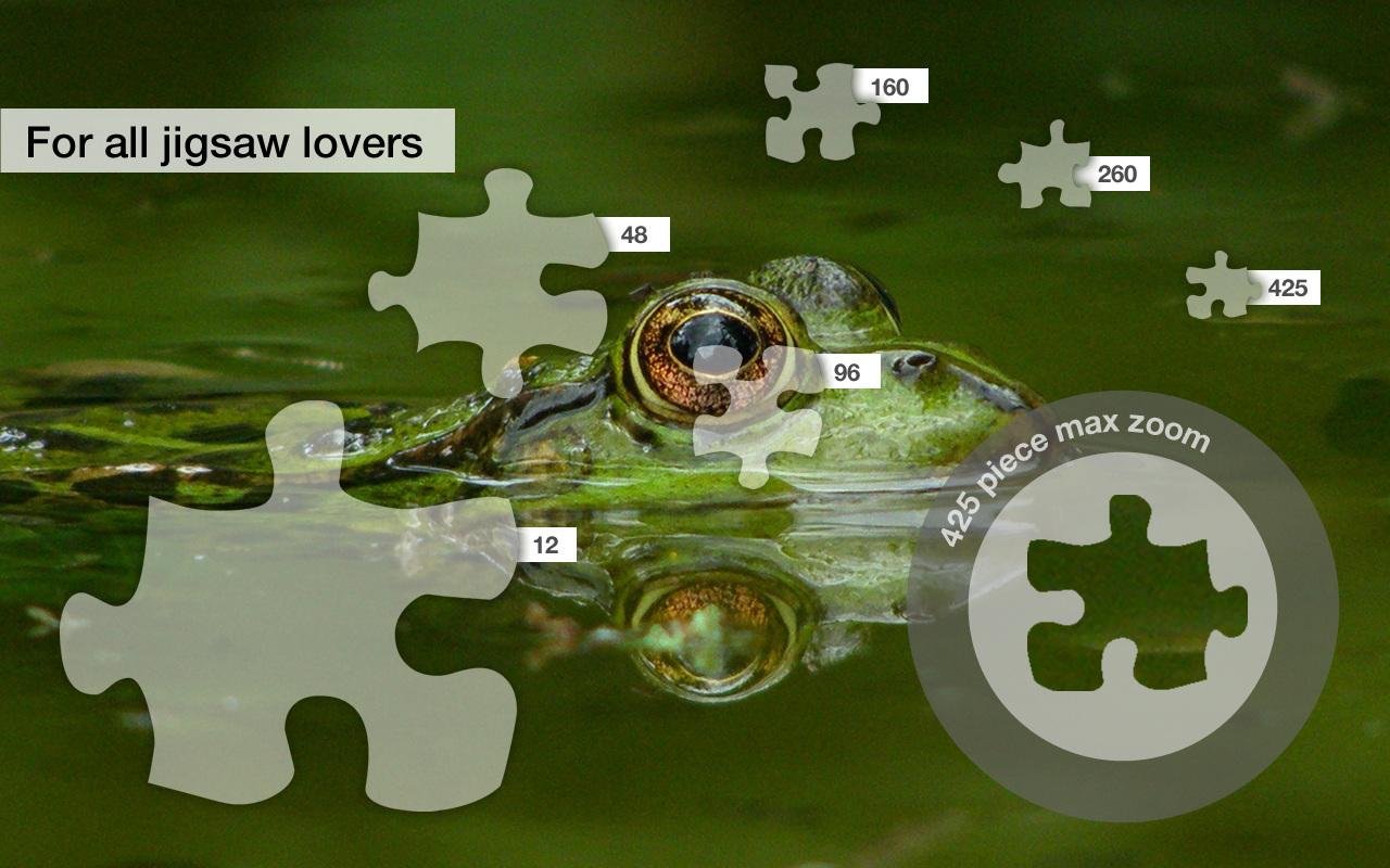 Frog Jigsaw Puzzles Demo截图2