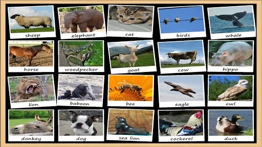 Animal Sounds Soundboard截图7