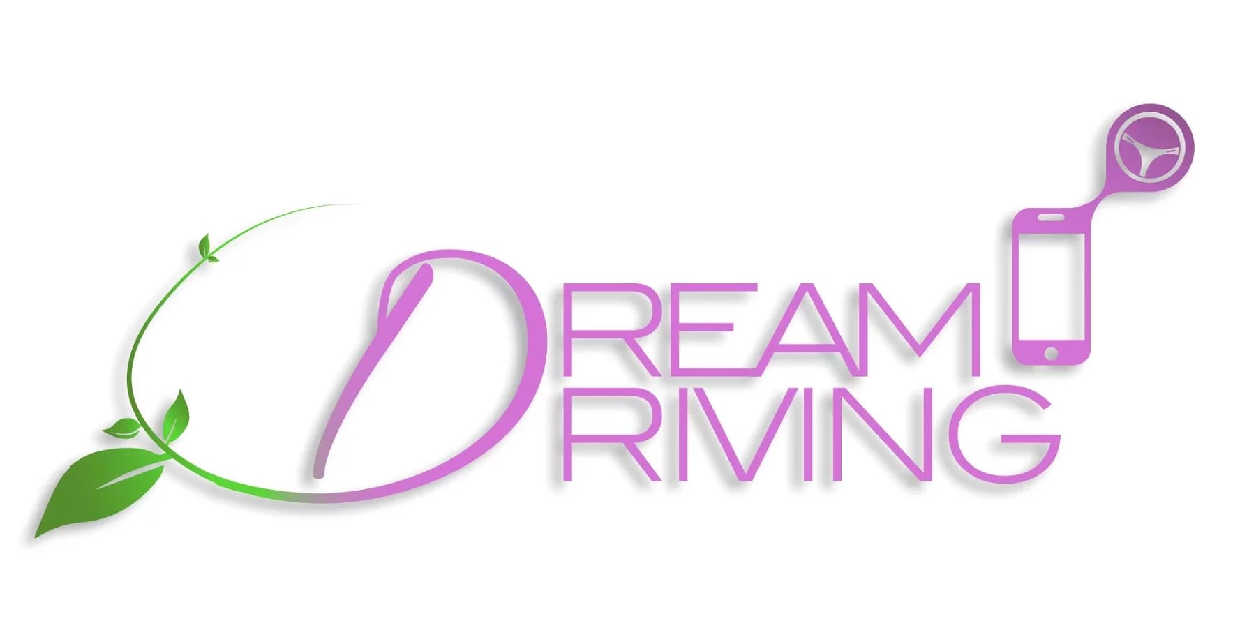 Dream Driving截图1