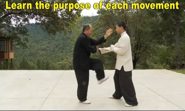 Yang Tai Chi for Beginne...截图4