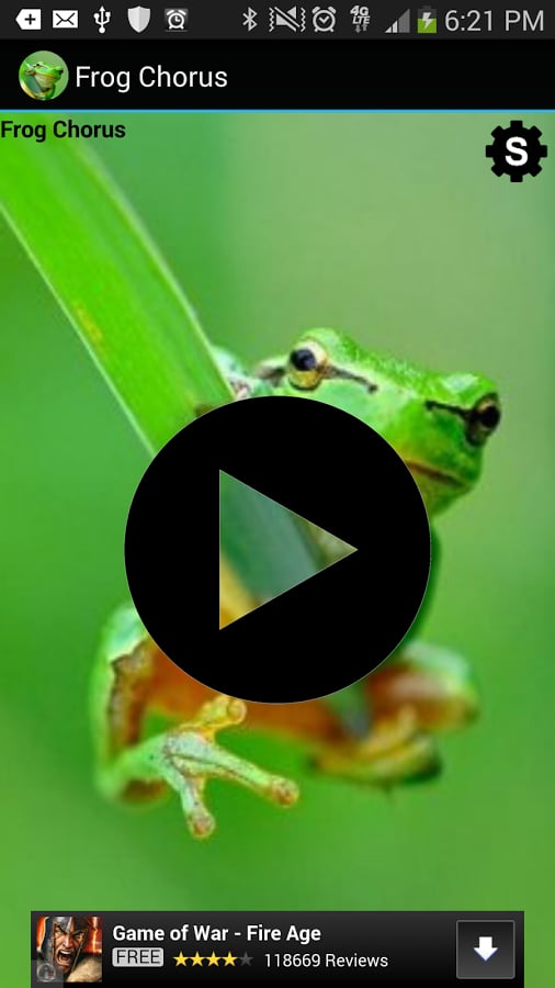 Soothing Frog Chorus截图1