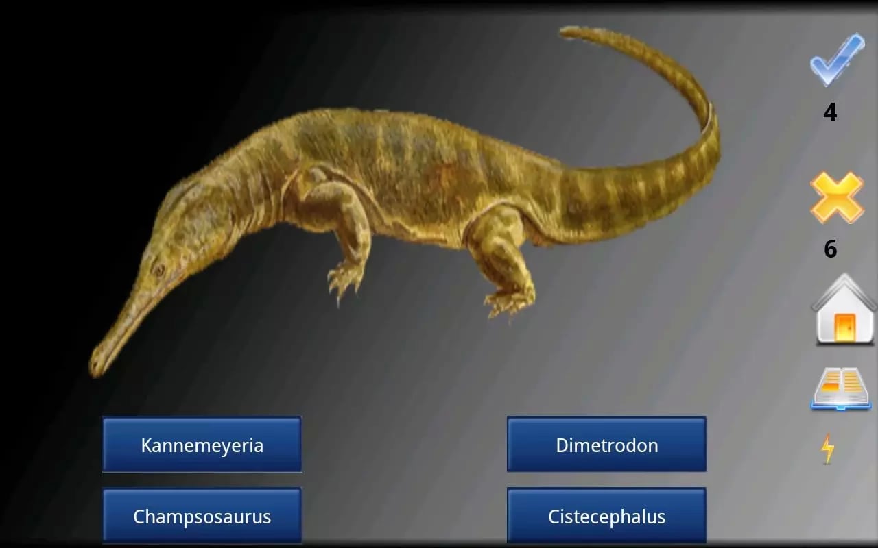 Name that Dinosaur!截图3