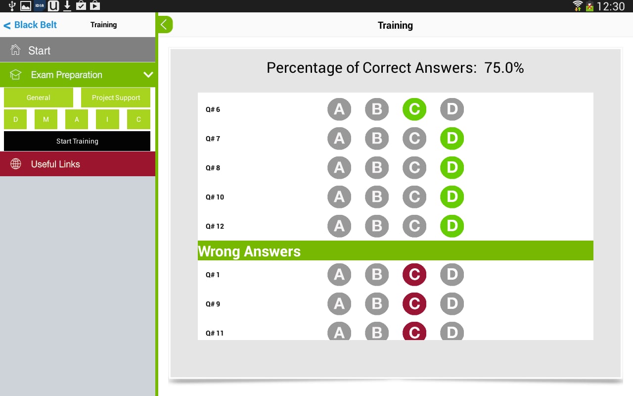 Lean Six Sigma Black Bel...截图5