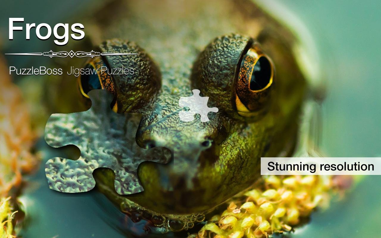 Frog Jigsaw Puzzles Demo截图3