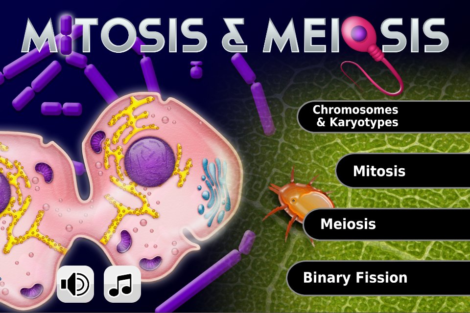 FCS - Mitosis &amp; Meiosis截图2