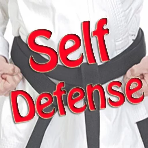 Self Defense截图1