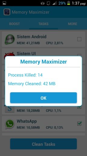 Memory Maximizer截图1