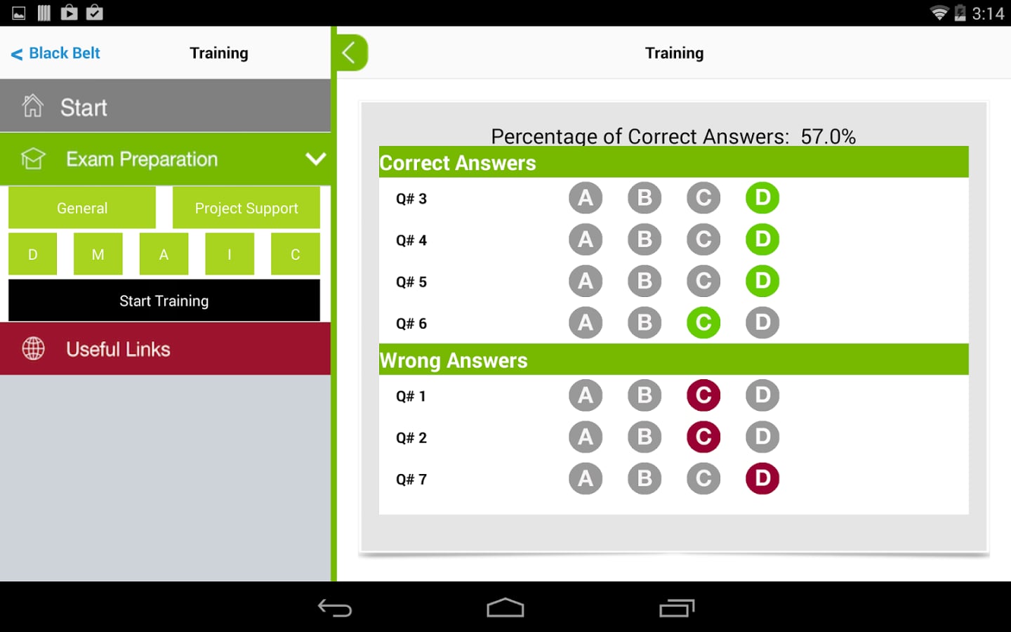 Lean Six Sigma Black Bel...截图3