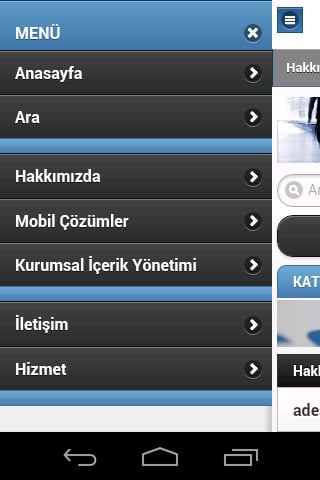 adesso Turkey截图1