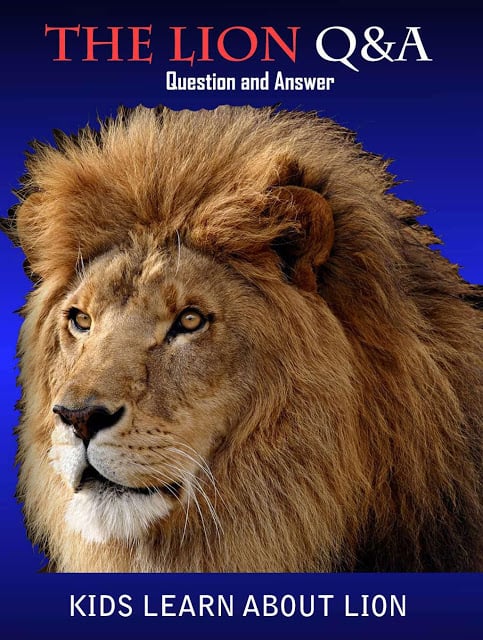 Lion Animal Question Answers截图2