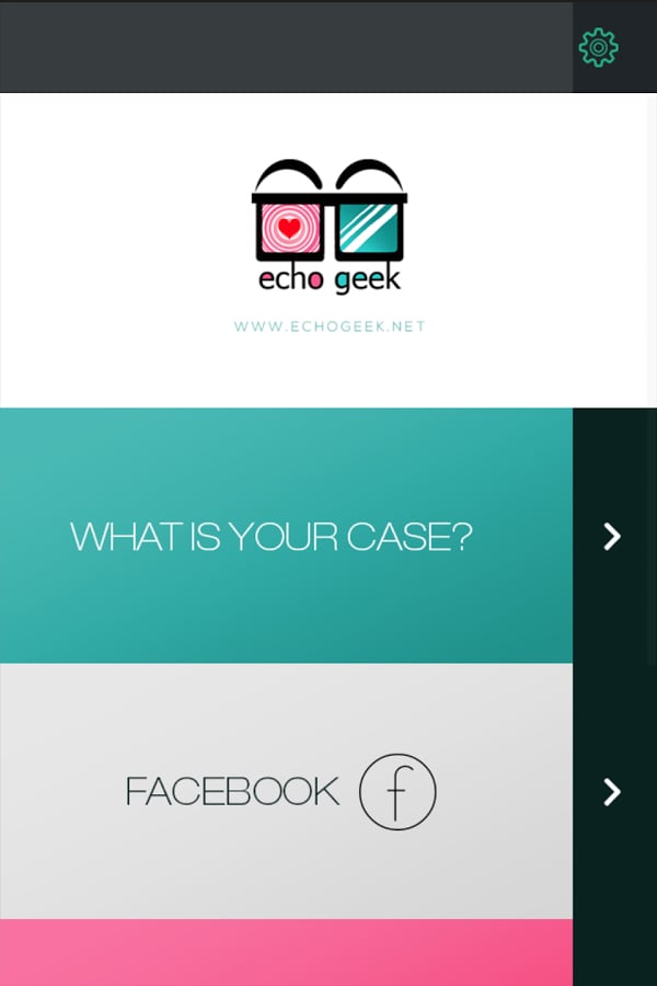 ECHO GEEK截图3