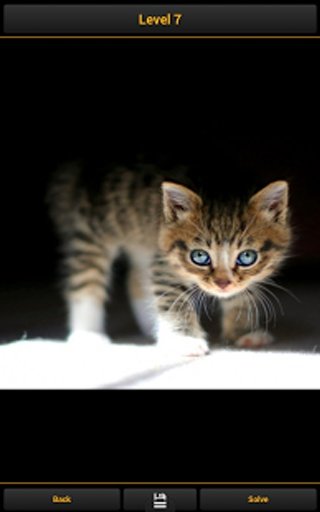 Cats - Puzzle Game截图7