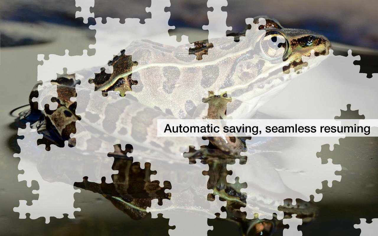 Frog Jigsaw Puzzles Demo截图1