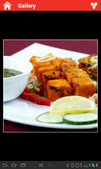 Khansama Tandoori Restaurant截图1