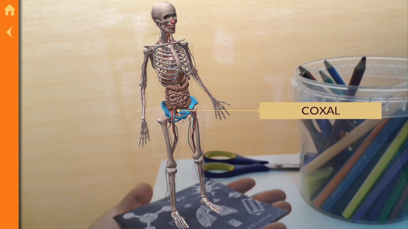 Anatomy - The Human Body截图8