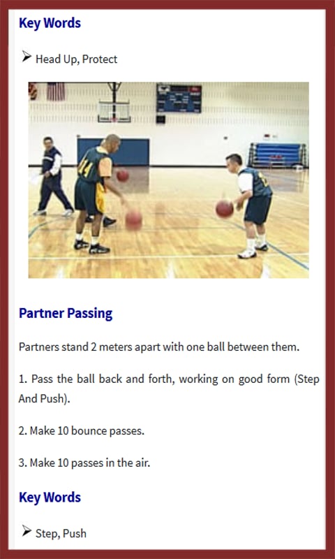 Basketball Skills截图5